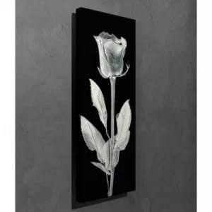 Image of PC161 Multicolor Decorative Canvas Painting