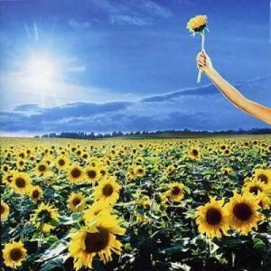 Image of Thank You The Best Of CD Album