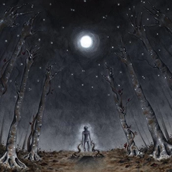 Image of Blaze Of Sorrow - Astri Vinyl