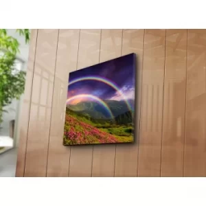 Image of 4545K-33 Multicolor Decorative Canvas Painting