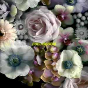Image of Full Bloom by Alpines CD Album
