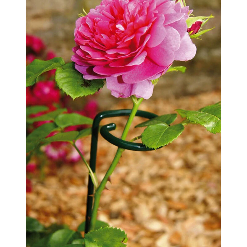 Image of Large Single Stem Support (Pack of 4) - Steel - L5.1 x W5.1 x H91.4cm - Green PoppyForgeLarSingSteSuPS07-4PK