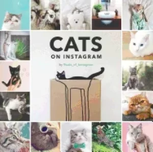 Image of cats on instagram
