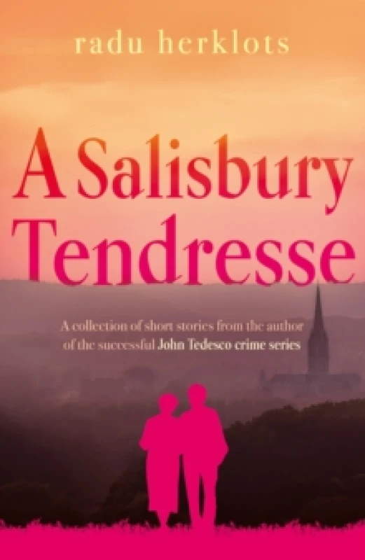 Image of A Salisbury Tendresse Paperback / softback