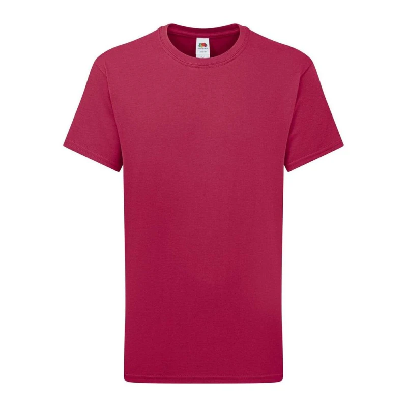 Image of Fruit Of The Loom Iconic 195 boys's Children's T shirt in Multicolour