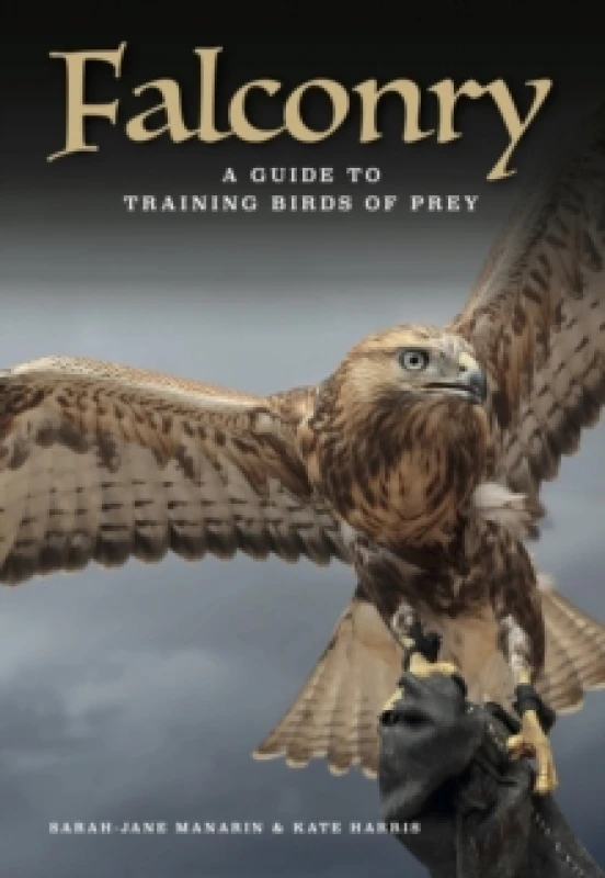 Image of Falconry : A guide to training birds of prey Hardback