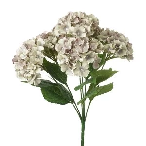 Image of Hydrangea Wtih Soft Faded Purple Petals
