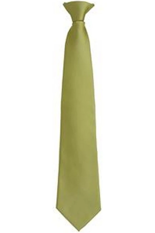 Image of Premier Premier Men Fashion ”ColoursWork Clip On Tie in Light Green Light Green One Size Male 5055805451378