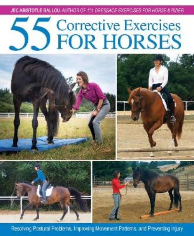 Image of 55 Corrective Exercises for Horses : Resolving Postural Problems, Improving Movement Patterns, and Preventing Injury Hardback