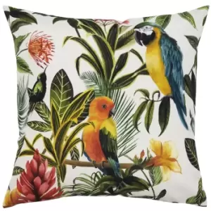 Image of Parrots Outdoor Cushion Multi/Teal