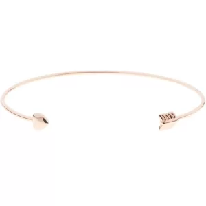 Image of Ted Baker Ladies PVD rose plating Bangle TBJ1147-24-03