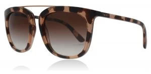 Image of DKNY DY4146 Sunglasses Pink Tortoise 3731/13 53mm