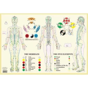 Image of Meridians / Five Elements -- A2 Poster 2014