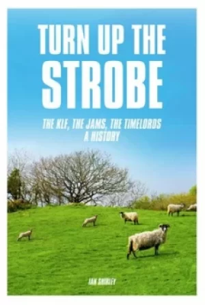 Image of Turn up the strobe by Ian Shirley