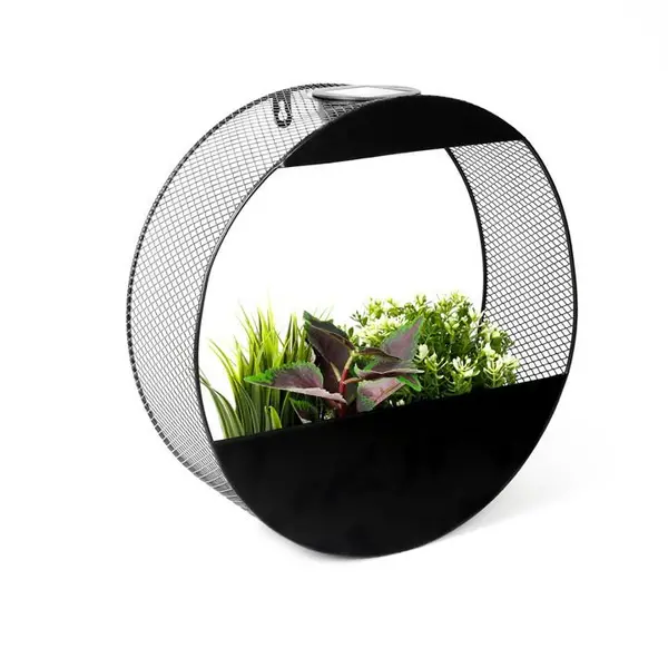 Image of Streetwize Circular Solar Wall Planter - Black One Size