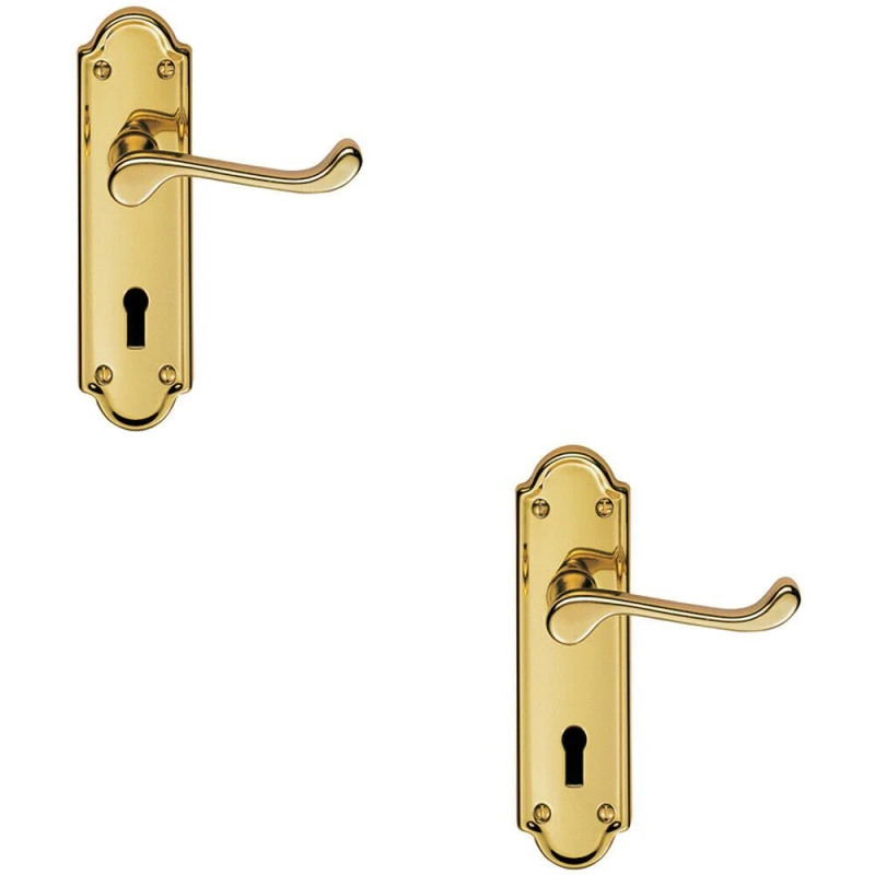 Image of Loops 2x PAIR Victorian Upturned Handle on Lock Backplate 168 x 47mm Polished Brass Metallics