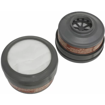 Image of Worksafe 9361 A1P2R Filter Cartridge - Pack of 2