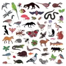 Image of Island of Noise