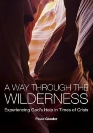 Image of A way through the wilderness by Paula Gooder