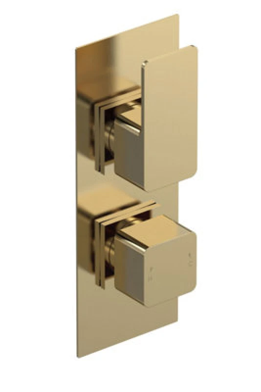 Image of Balterley Modern Concealed Square Twin Thermostatic Shower Valve Brushed Brass in Metallics Metallics Unisex