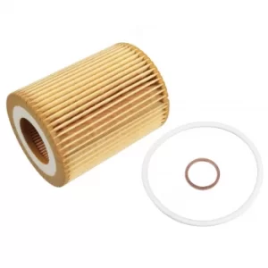 Image of Oil Filter ADB112114 by Blue Print