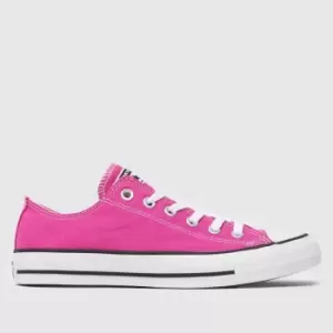 Image of Converse Pink All Star Oxford Desert Trainers