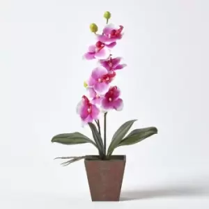 Image of Homescapes - Pink & White Phalaenopsis Orchid with Rustic Brown Pot, 48cm Tall - Pink - Pink - Pink