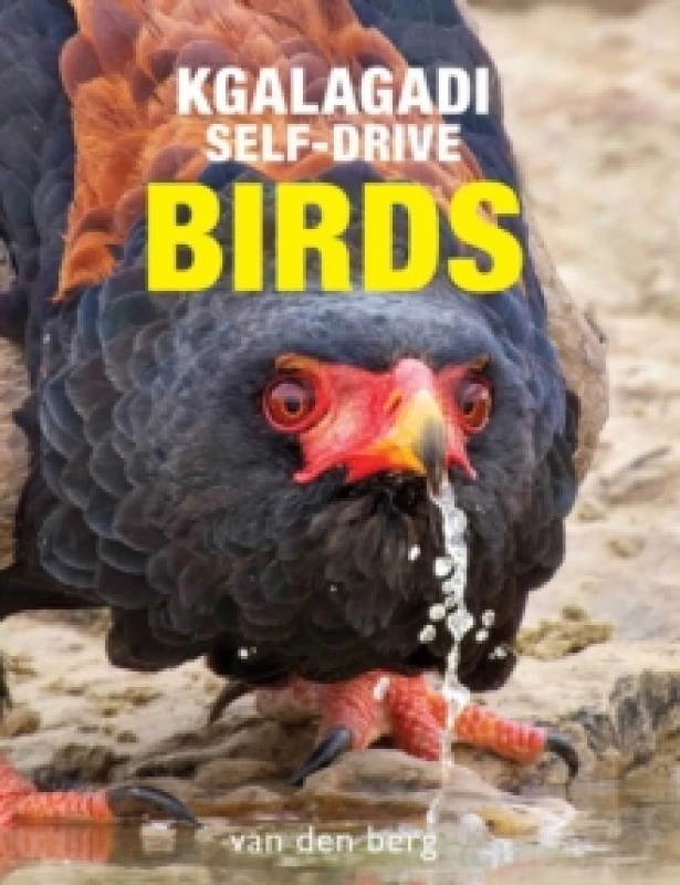 Image of Kgalagadi Self-Drive Birds Paperback / softback