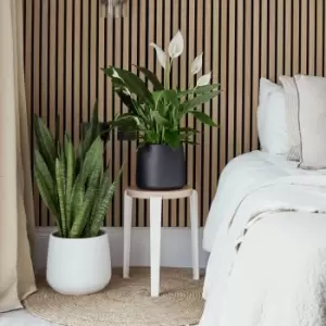 Image of Akemi Planter in Pure White, H25 x W27 x D27cm