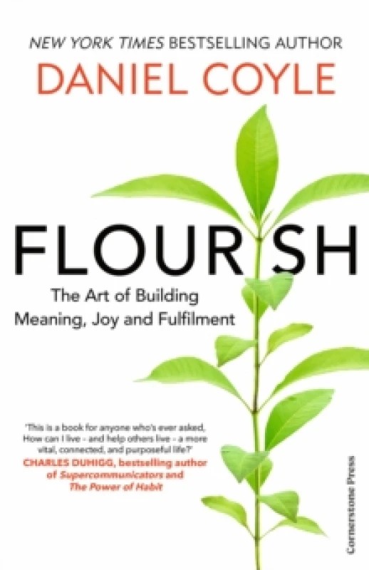 Image of Flourish : The Art of Building Meaning, Joy and Fulfilment Hardback