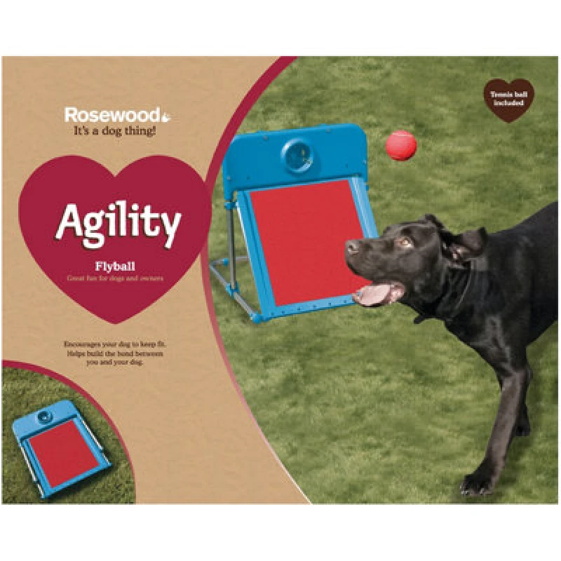 Image of Agility Flyball