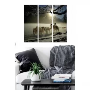 Image of MDF2921382 Multicolor Decorative MDF Painting (3 Pieces)