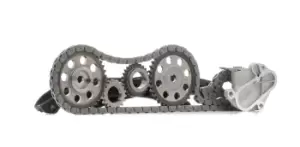 Image of Borsehung Timing Chain Kit VW,AUDI,SKODA B16296 036109497C,03C109158A,03C109469K 03C109509P,03C198229A,03C198229D,03C198229Dkit,036109497C,03C109158A