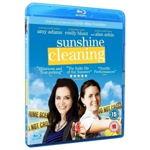 Image of Sunshine Cleaning Bluray