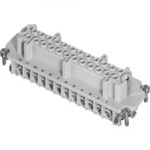 Image of Amphenol C146 10B024 002 1 Socket Insert AmphenolC146 10B024 002 1C146 10B024 002 1Heavy duty connectorsIndustrial co