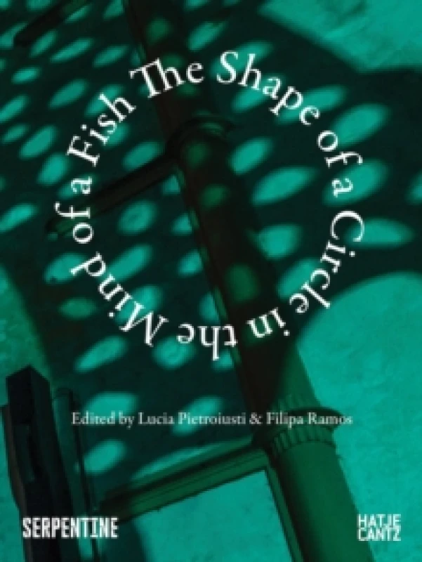 Image of The Shape of a Circle in the Mind of a Fish Paperback / softback