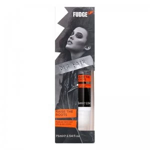 Image of Fudge Raise the Roots 75ml