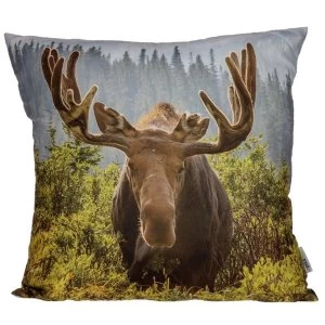 Image of Moose Photo Cushion with Insert