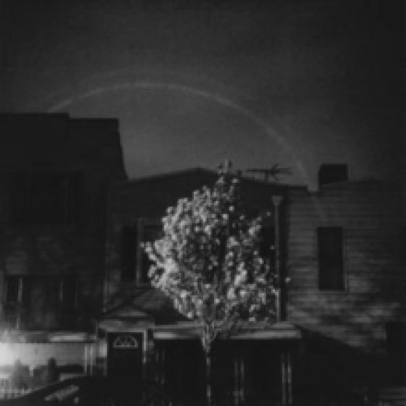 Image of Hands in the honey jar Vinyl