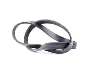Image of SKF V-ribbed belt BMW VKMV 5PK863 11281437450,11281437872 Serpentine belt,Auxiliary belt,Poly V-belt,Ribbed belt,Multi V-belt,Poly belt