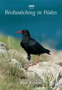 Image of Birdwatching in Wales