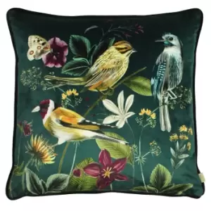 Image of Evans Lichfield Midnight Garden Bird Cushion Cover (43cm x 43cm) (Green)