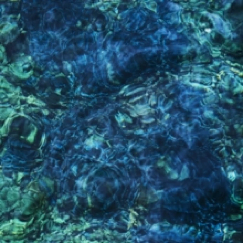 Image of Absolute Elsewhere CD / Album