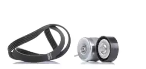 Image of SKF V-ribbed belt set VKMA 32040 Serpentine belt kit,Auxiliary belt kit FORD,FIAT,CHRYSLER,KA (RU8),PANDA (169),500 (312),PUNTO (188),BRAVO II (198)