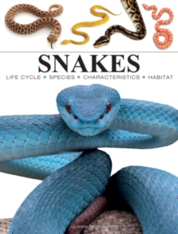 Image of Snakes Paperback / softback