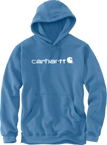 Image of Carhartt Signature Logo Midweight Hoodie, white-blue, Size M
