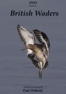 Image of British Waders