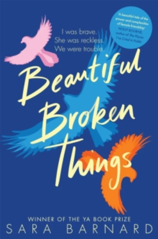 Image of Beautiful Broken Things Paperback / softback
