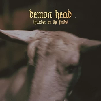 Image of Demon Head - Thunder On the Fields CD