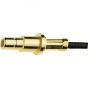 Image of SMB connector Plug straight 50 IMS 11.1310.021